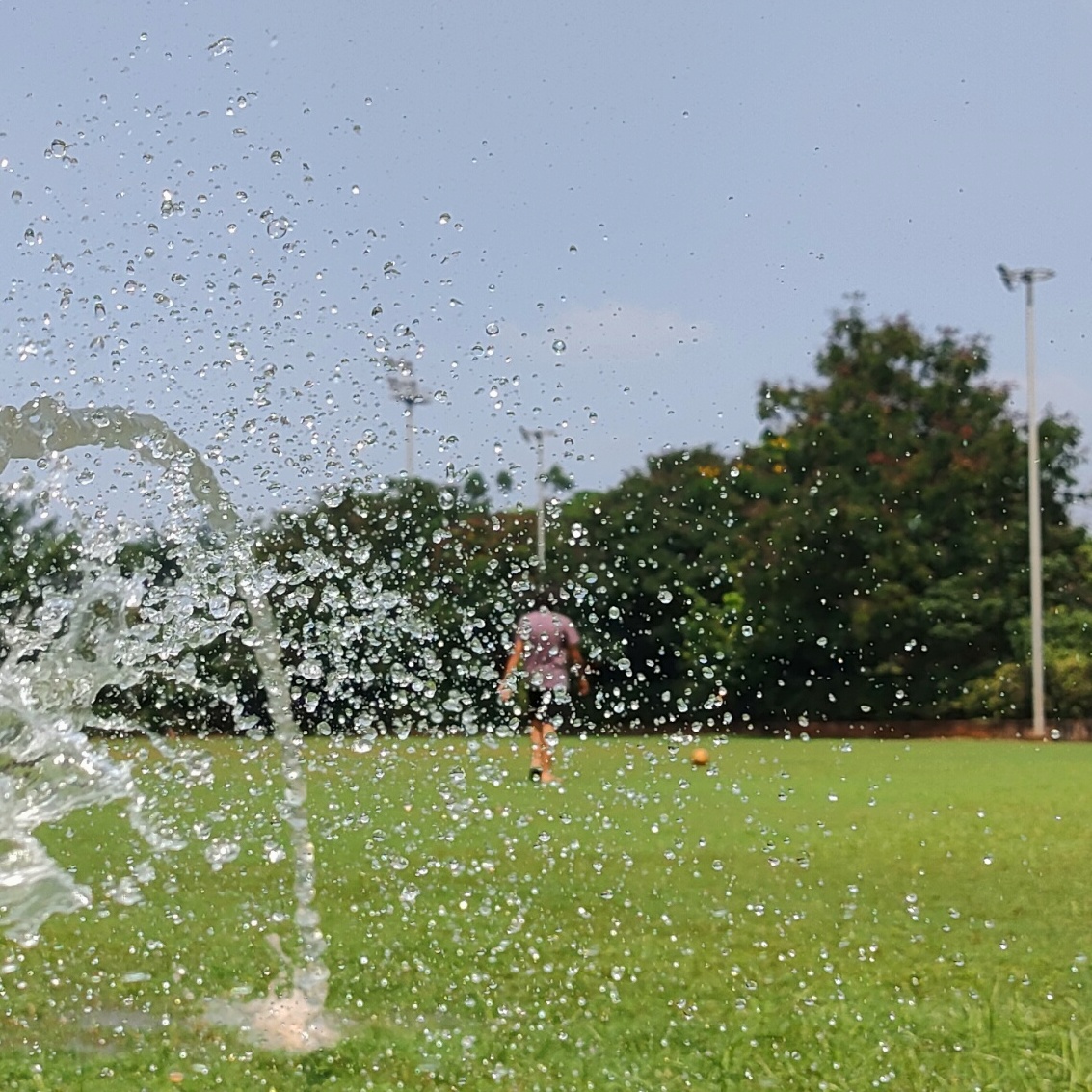 afternoon_play